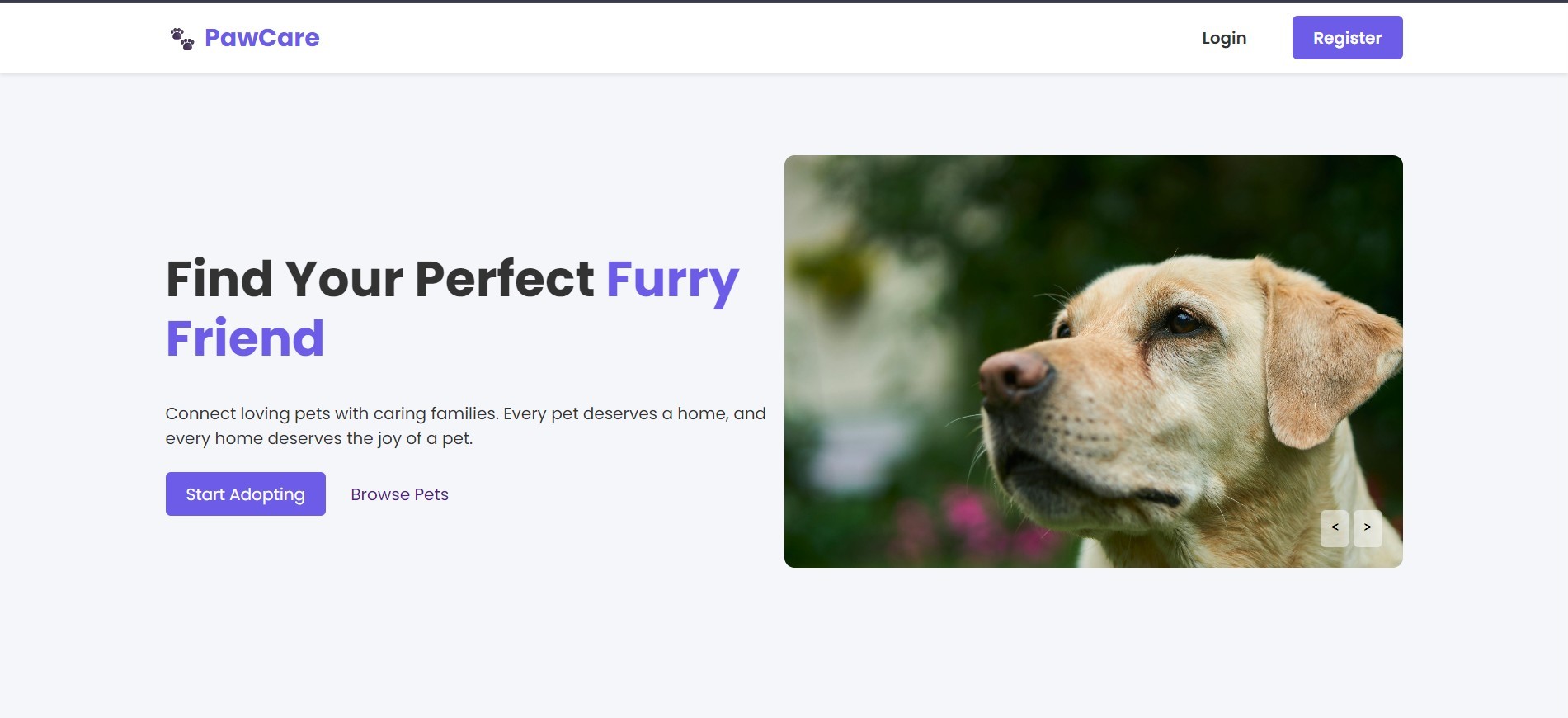 PawCare Feed